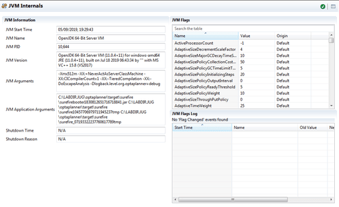 JVM Intervals report
